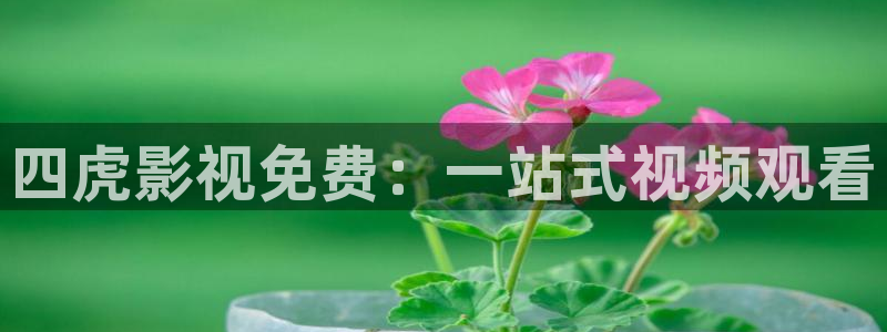 飘花在线