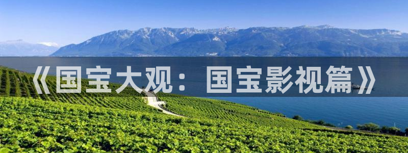 新飘花电影网官网