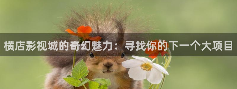 www.飘花电影网