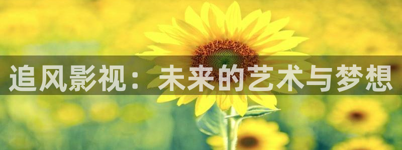 飘花影院ppyy