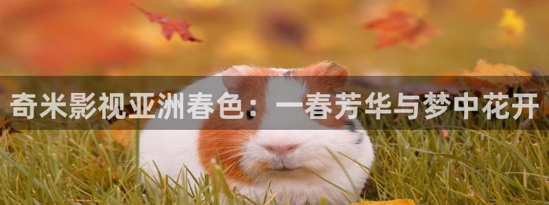 伦理飘花影院