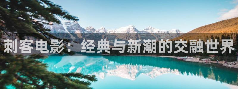 飘花午夜电影网站