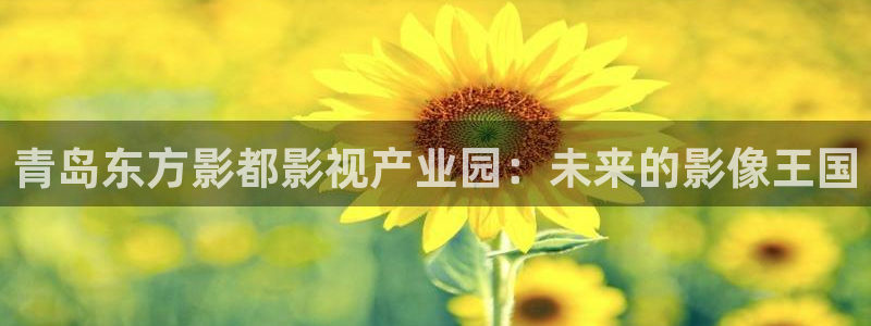 手机飘花影院