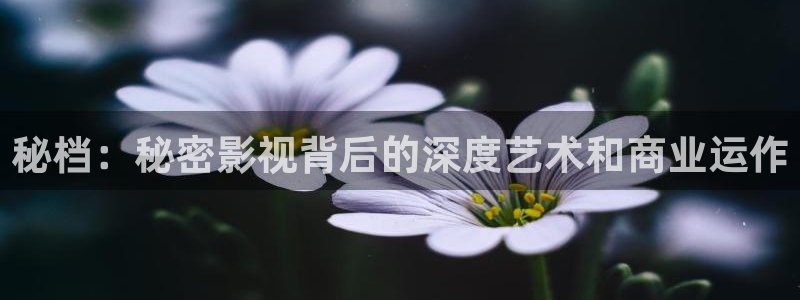 飘花在线电影院