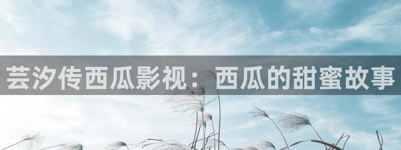 飘花播播