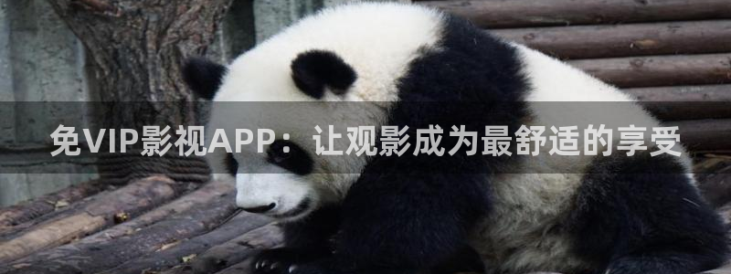 飘花影院免费看电影