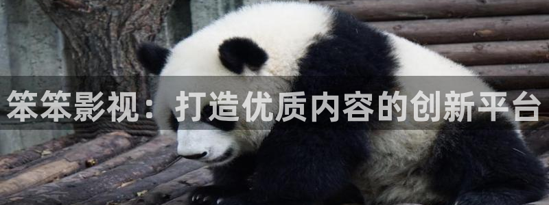飘花影院高清电影电视剧内容